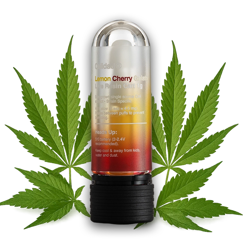 Lemon Cherry Gelato